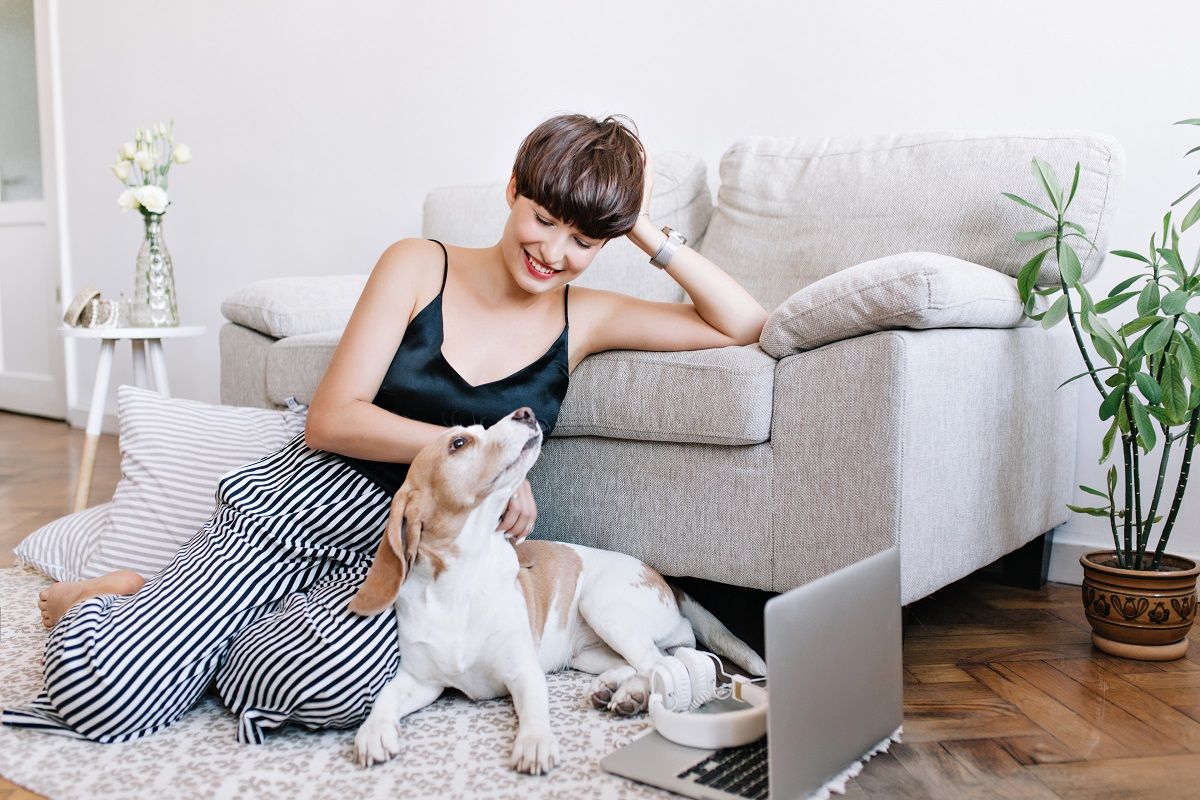 Four Steps to Keep Your Apartment Fresh When You Own a Pet