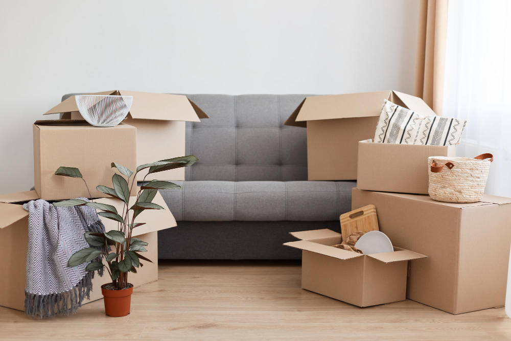 Downsizing Apartments: Tips and Tricks to Make the Transition Easier