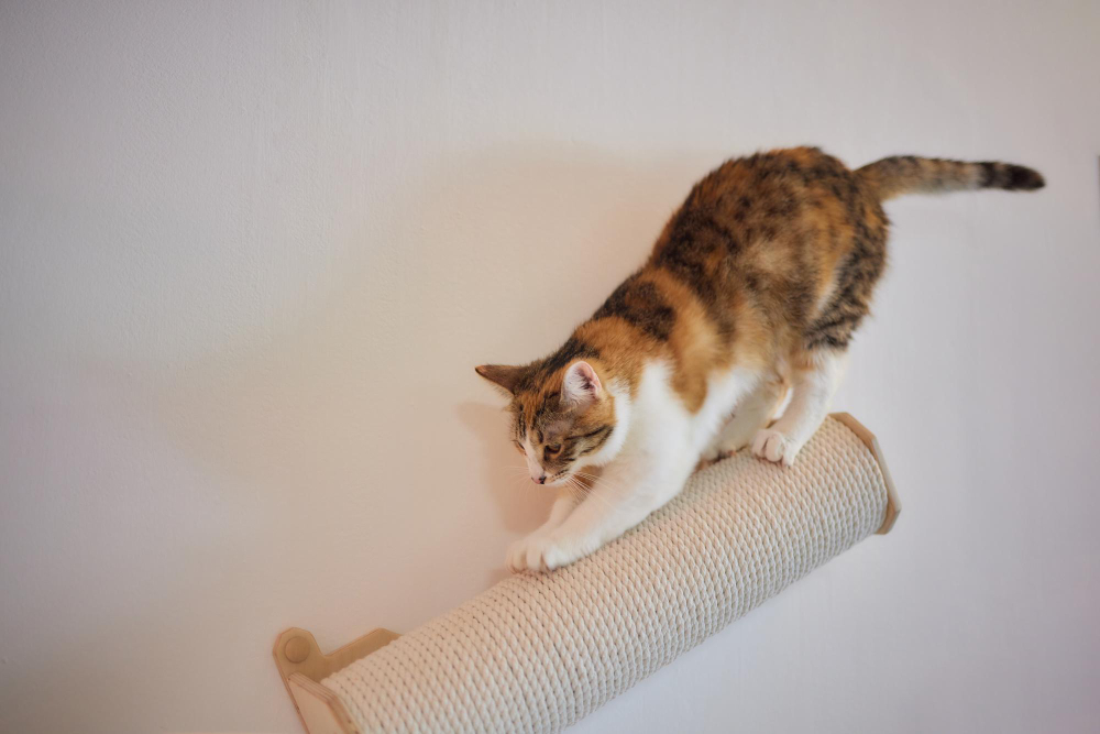How to Keep Cats Off Your Furniture