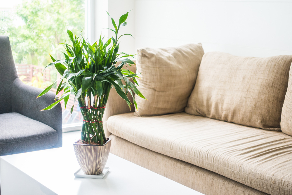 How To Green Clean Like A Professional