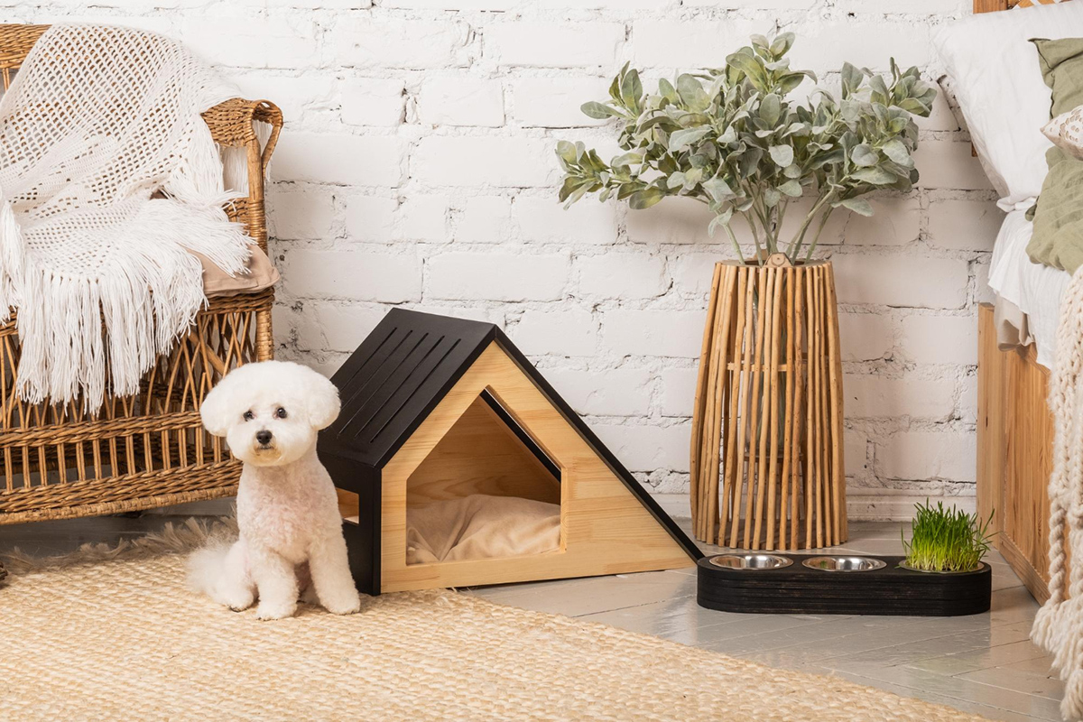 Why Pet Liability Insurance is Essential for Renters