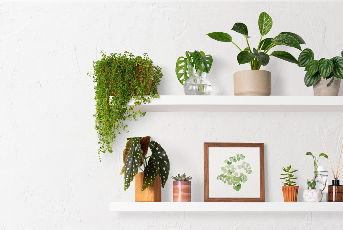 The Advantages of Artificial Plants for Your Home