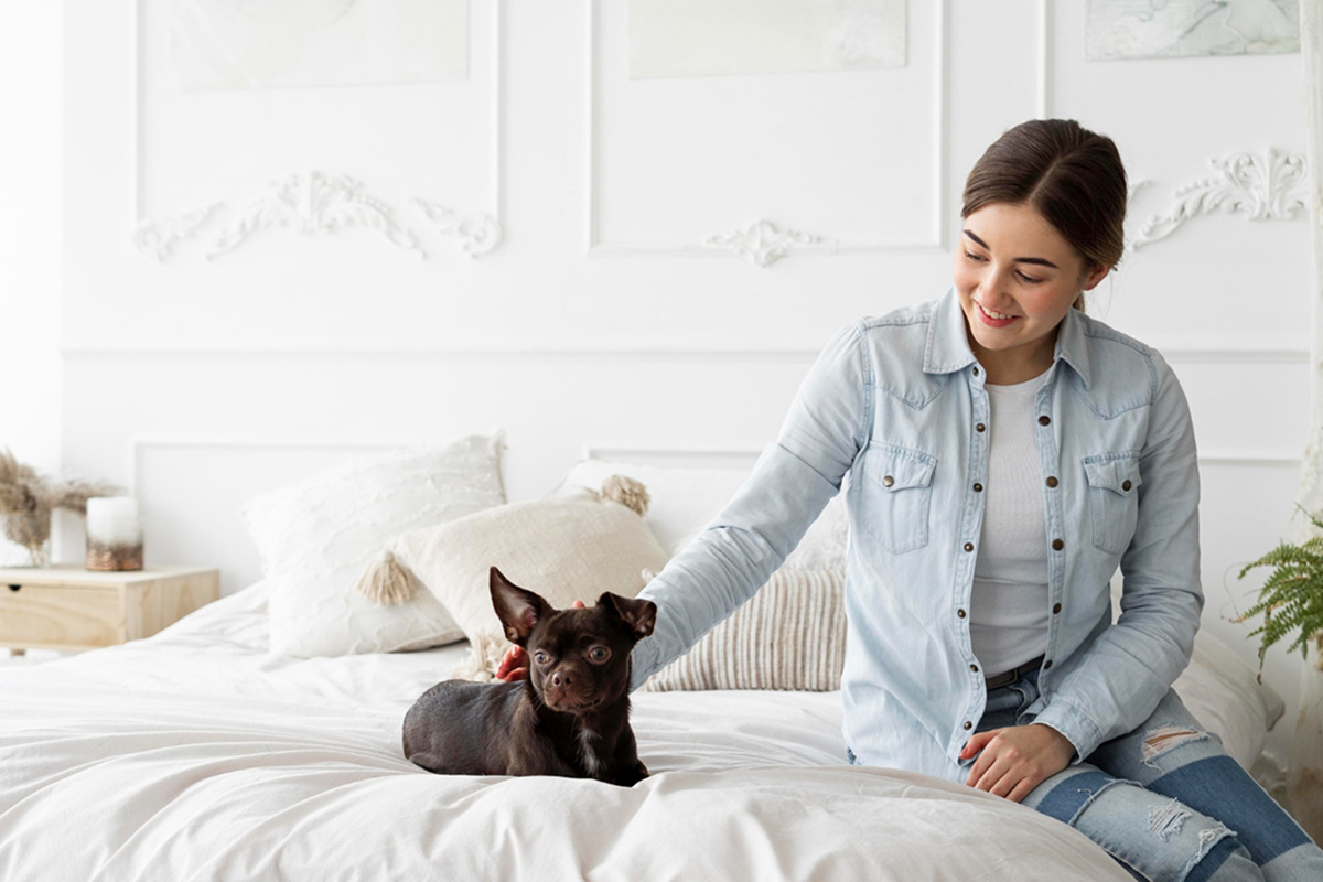 How to Introduce Your Dog to a New Apartment