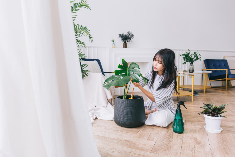 Interior Design Ideas for Your First Apartment