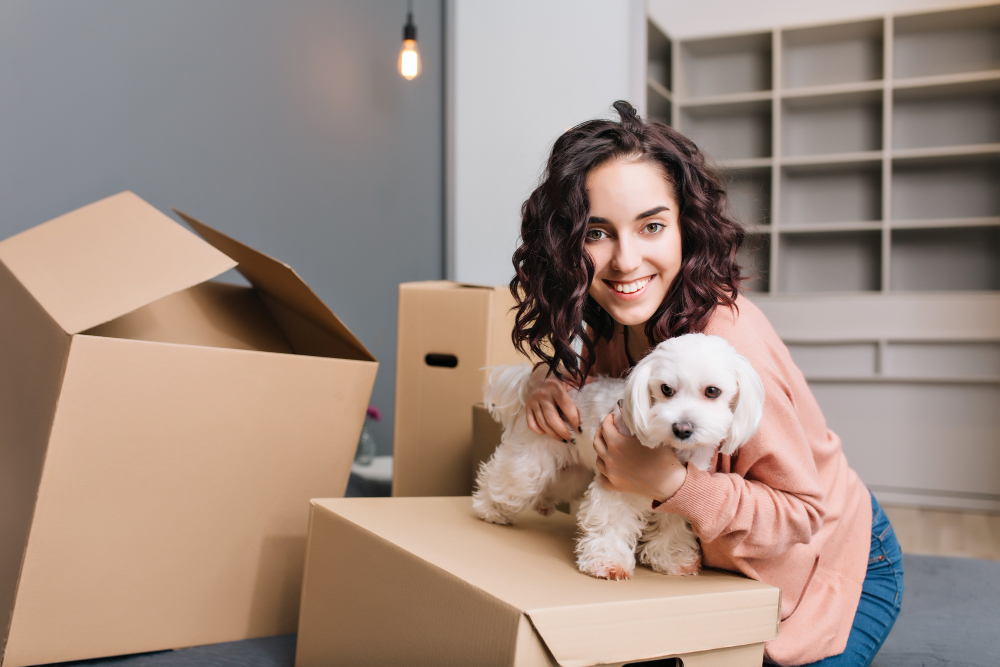 Things to Prepare When You're Moving with a Pet