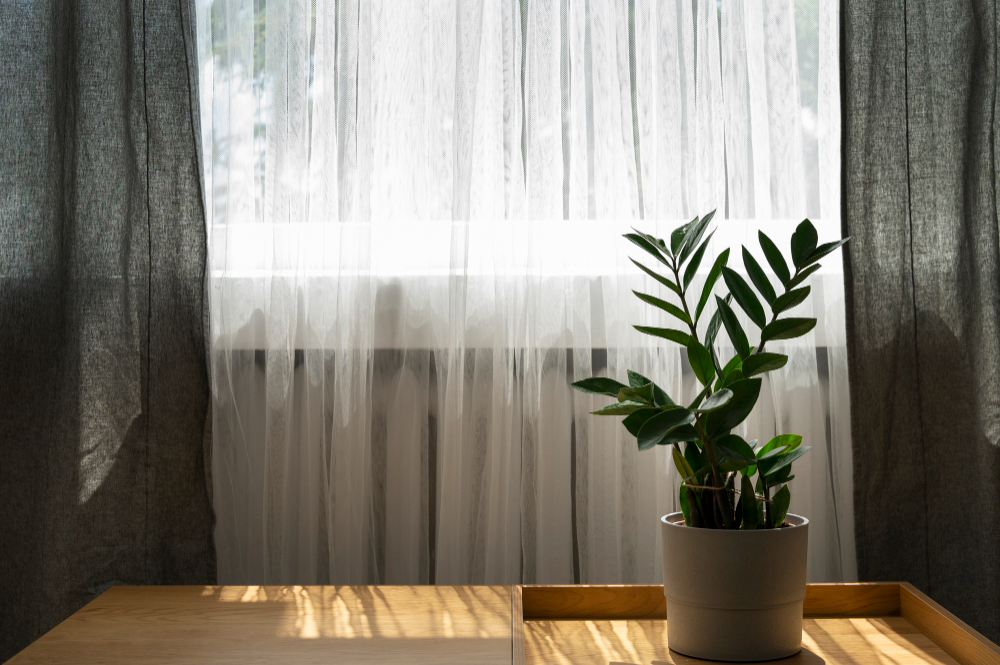 Window Treatment Ideas to Transform Your Space