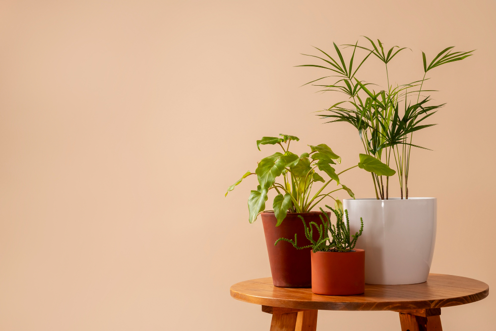 How To Find Your Dream Apartment Floor Plan