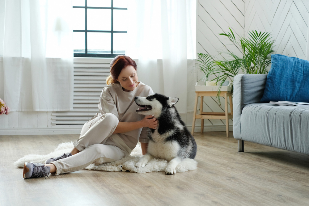 Things To Consider When Renting An Apartment With A Dog