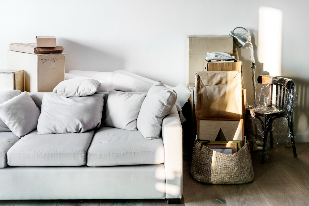 Must-Have Essentials for Apartment Living