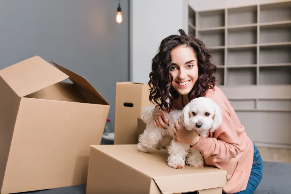 Things to Prepare When You're Moving with a Pet