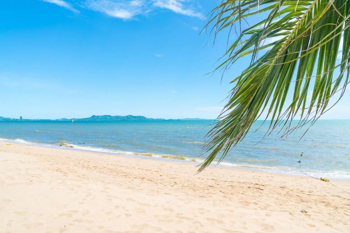 6 Reasons to Love Wilmington, NC