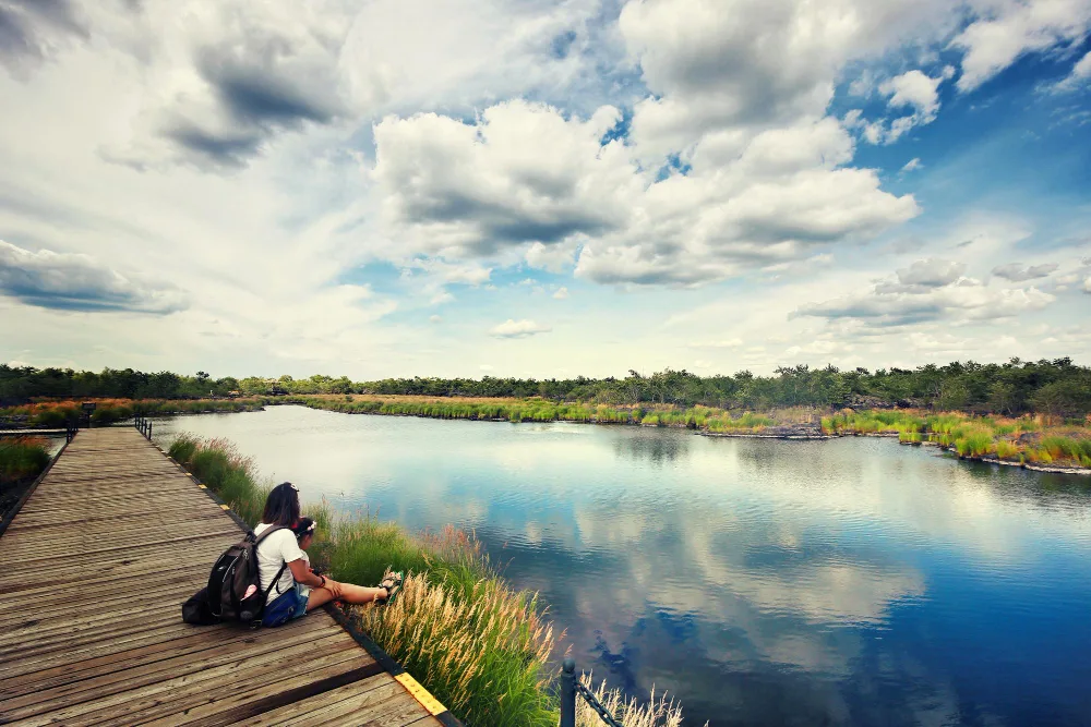 Discover Wilmington, NC: A Renter's Guide to Coastal Living
