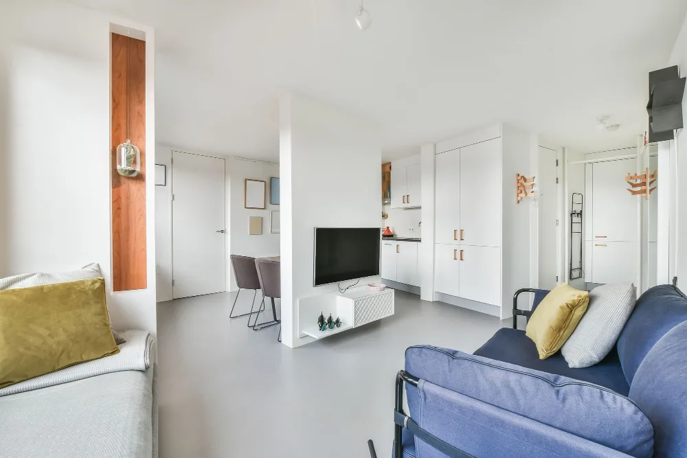 Clever Ideas for Dividing Up a Small Apartment Room