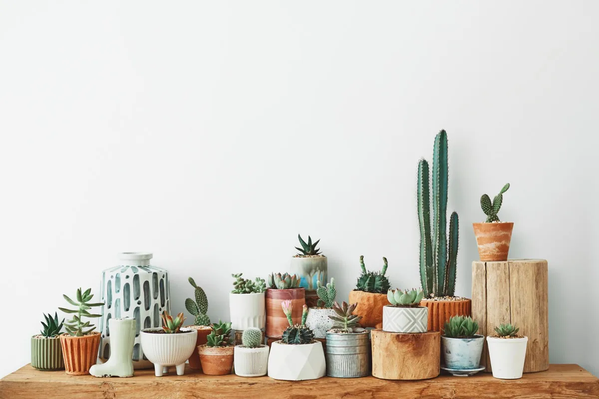 Five Tips for Adding Romance to Your Apartment